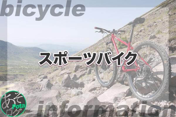 自転車 グラベルバイク VooDoo 重量 整備 アクセサリー交換