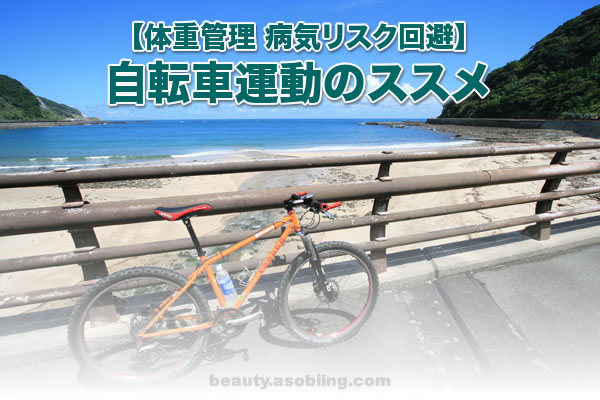 自転車 サイクリング 健康維持 運動不足 脂肪燃焼 カロリー消費